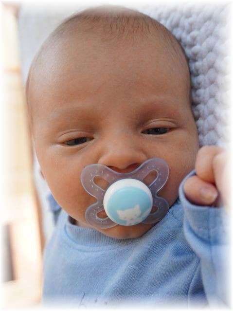 021_2018.jpg - 65250 Bytes