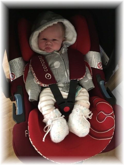 022_2018.jpg - 65250 Bytes