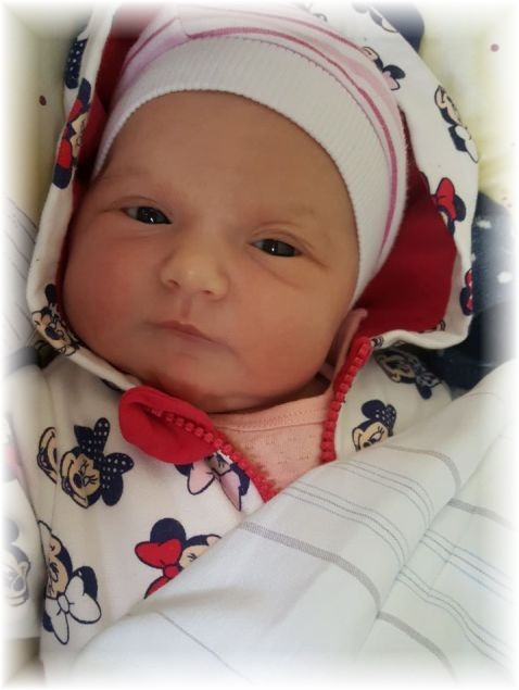 023_2018.jpg - 65250 Bytes