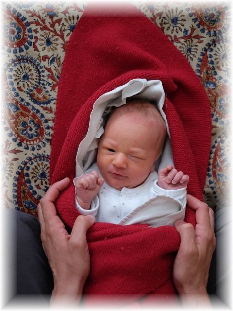 029_2018.jpg - 65250 Bytes