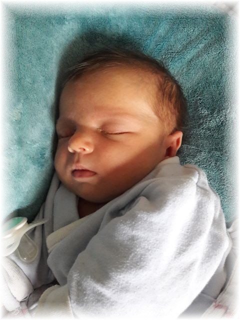 031_2018.jpg - 65250 Bytes