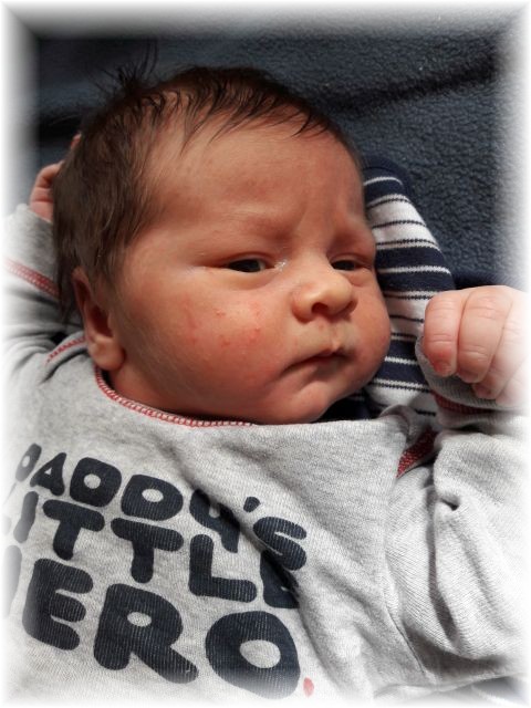 033_2018.jpg - 65250 Bytes