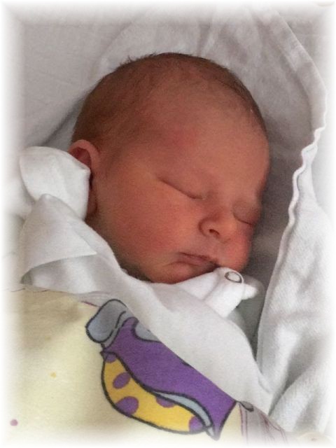 034_2018.jpg - 65250 Bytes