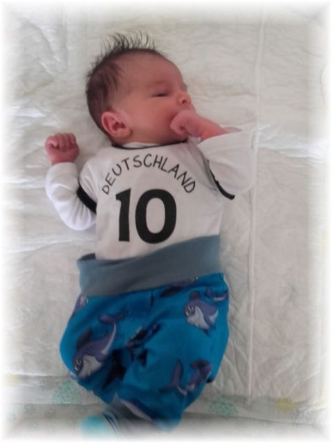 037_2018.jpg - 65250 Bytes