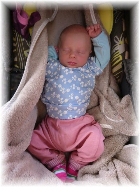 040_2018.jpg - 65250 Bytes