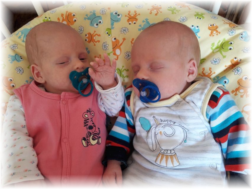 042_2018.jpg - 118893 Bytes