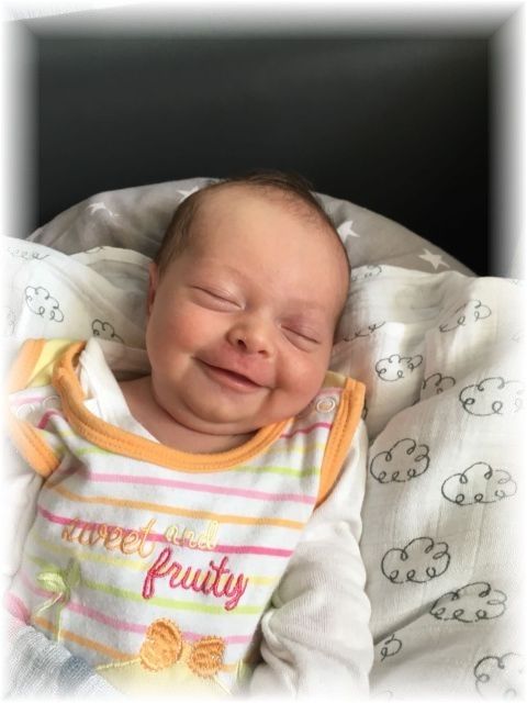 045_2018.jpg - 65250 Bytes