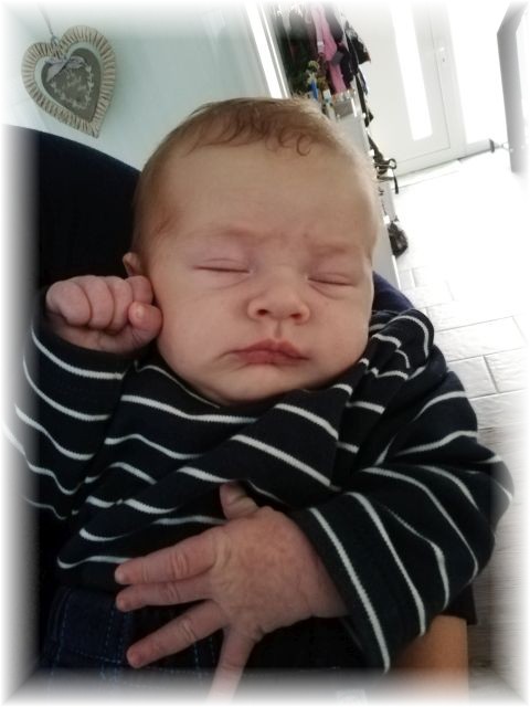 050_2018.jpg - 65250 Bytes