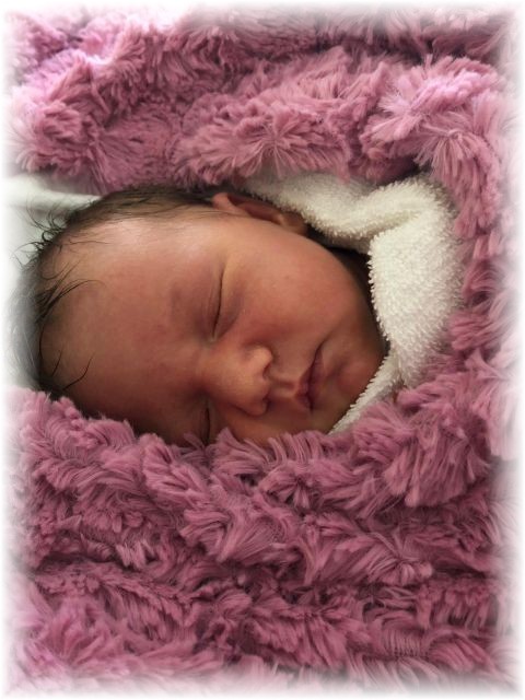 052_2018.jpg - 65250 Bytes