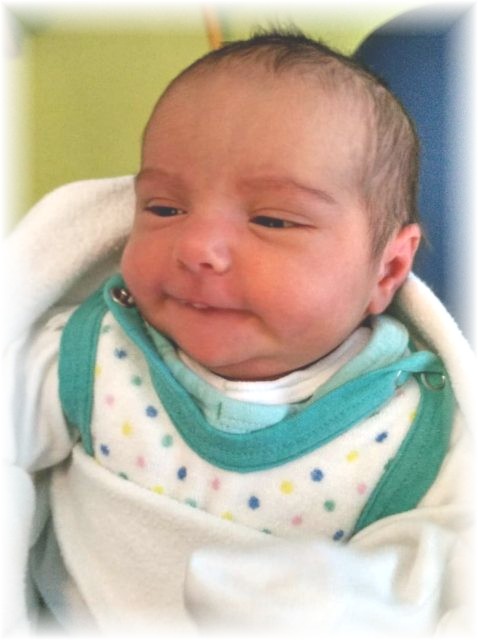 054_2018.jpg - 65250 Bytes