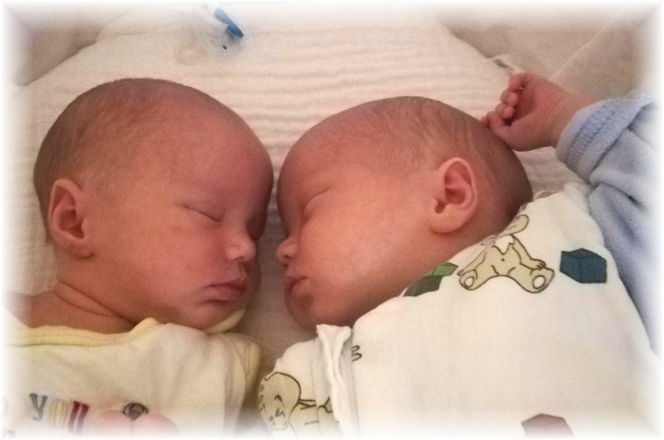 056_2018.jpg - 65250 Bytes