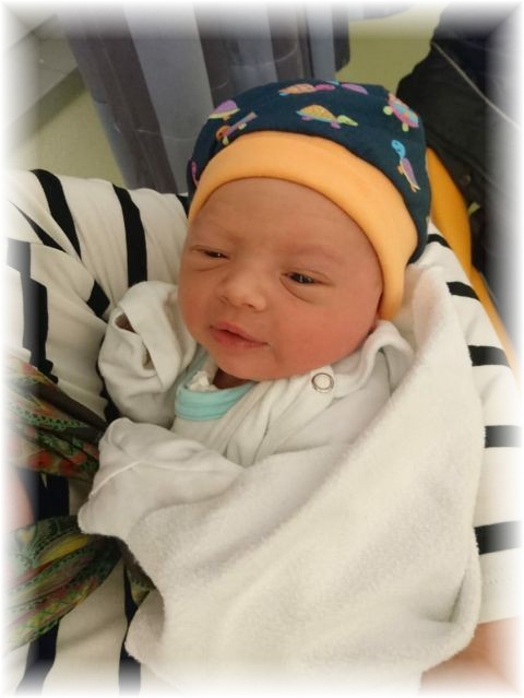 057_2018.jpg - 65250 Bytes