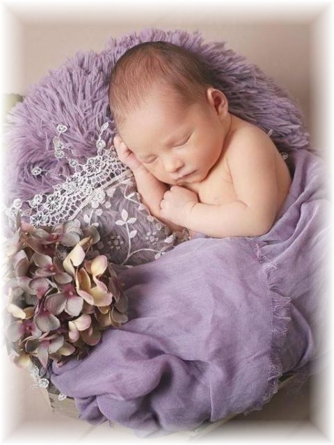 001_2019.jpg - 65250 Bytes