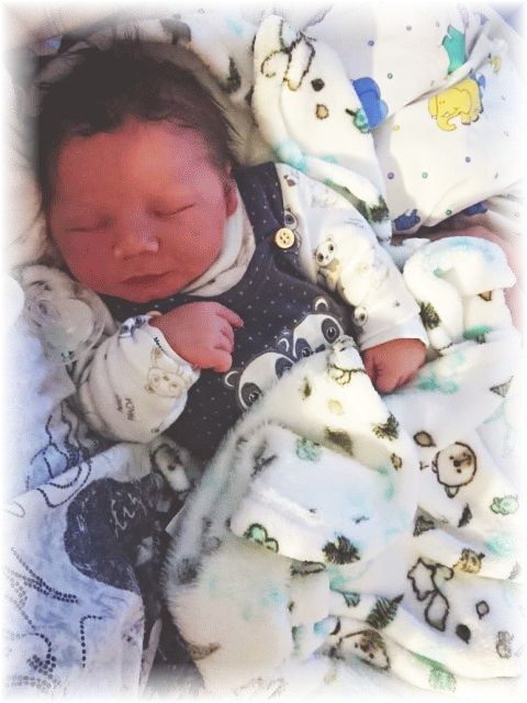 002_2019.jpg - 65250 Bytes