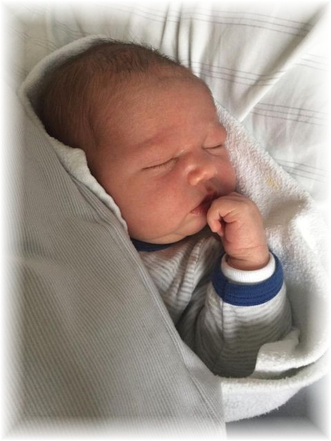 004_2019.jpg - 65250 Bytes