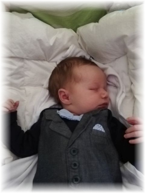 005_2019.jpg - 65250 Bytes