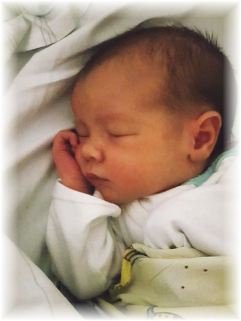 006_2019.jpg - 65250 Bytes