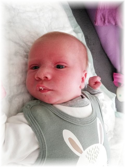 010_2019.jpg - 65250 Bytes