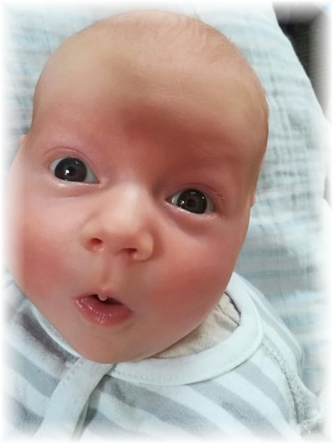 012_2019.jpg - 65250 Bytes