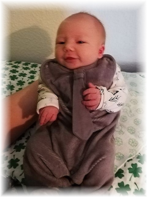 013_2019.jpg - 65250 Bytes