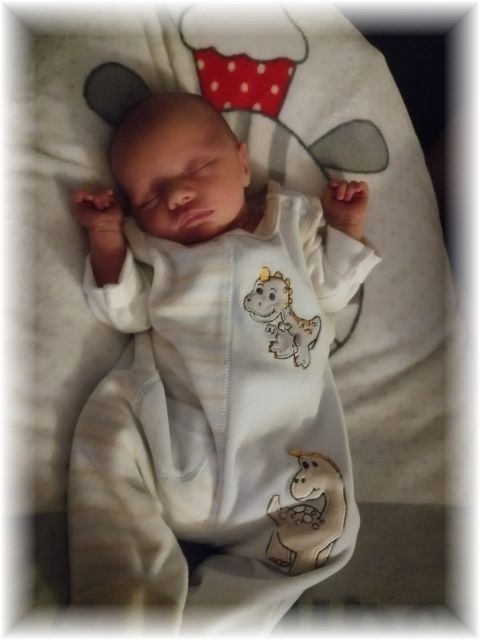 014_2019.jpg - 65250 Bytes