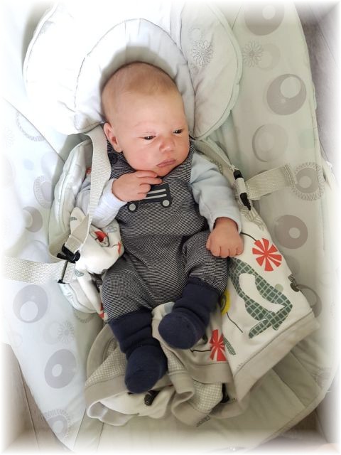 016_2019.jpg - 65250 Bytes