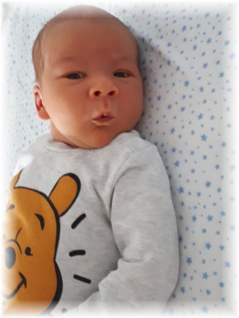 017_2019.jpg - 65250 Bytes