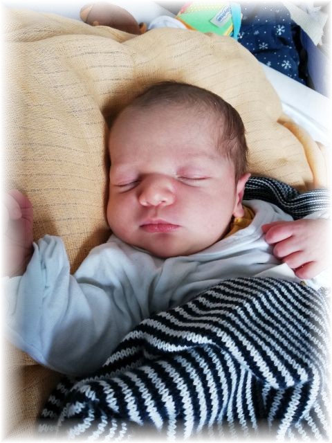 019_2019.jpg - 65250 Bytes