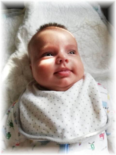 031_2019.jpg - 65250 Bytes