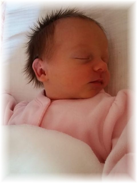 033_2019.jpg - 65250 Bytes