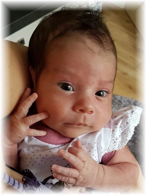 035_2019.jpg - 65250 Bytes