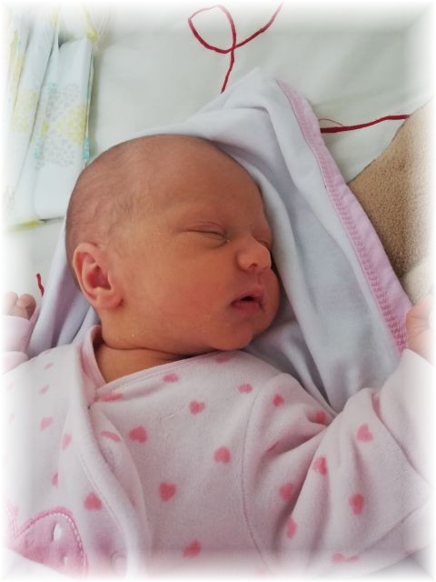 036_2019.jpg - 65250 Bytes