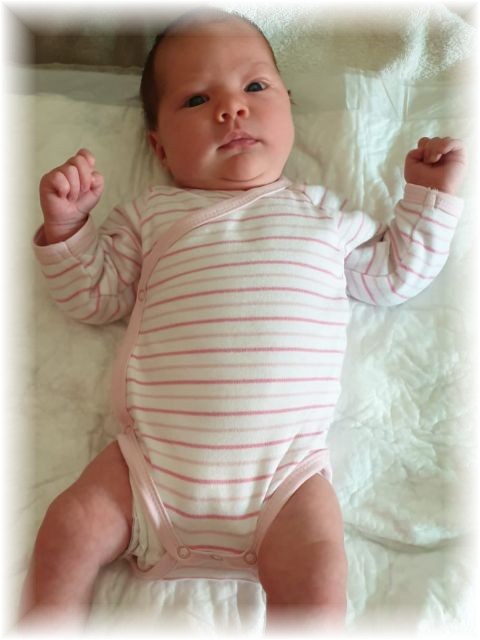 037_2019.jpg - 65250 Bytes