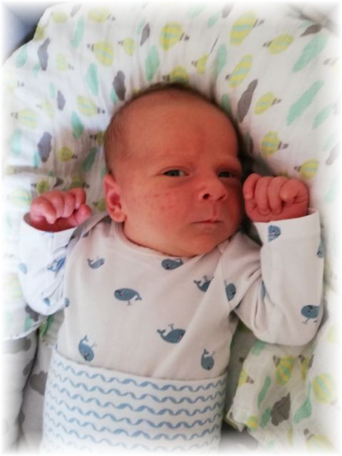 038_2019.jpg - 65250 Bytes