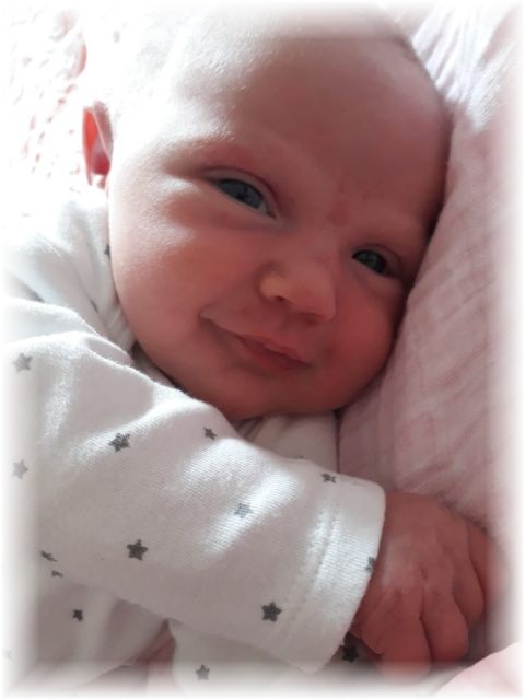 039_2019.jpg - 65250 Bytes