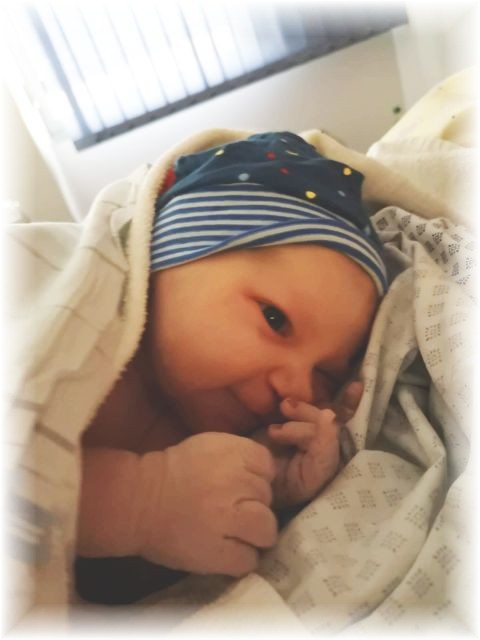 041_2019.jpg - 65250 Bytes