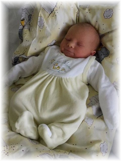 042_2019.jpg - 65250 Bytes