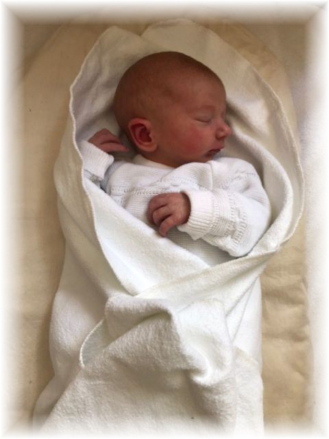 043_2019.jpg - 65250 Bytes