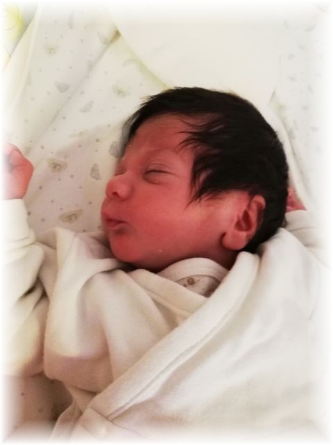 044_2019.jpg - 65250 Bytes