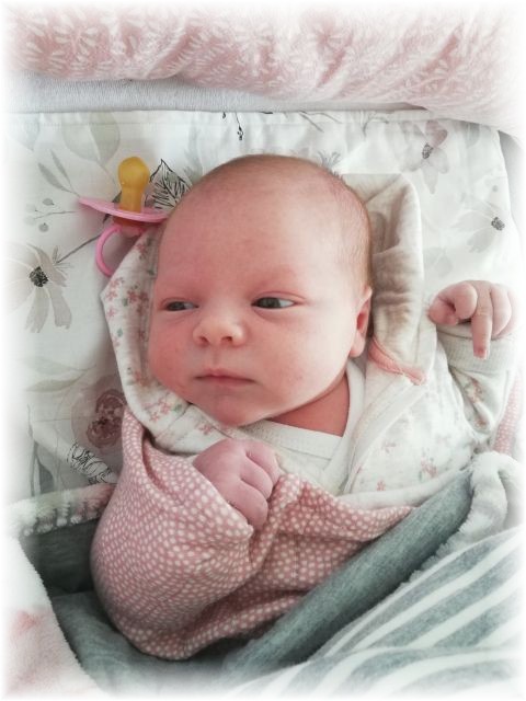 045_2019.jpg - 65250 Bytes