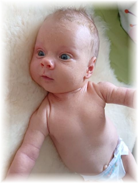 048_2019.jpg - 65250 Bytes