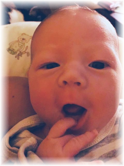 051_2019.jpg - 65250 Bytes