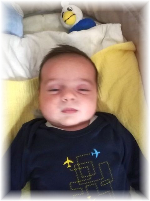 052_2019.jpg - 65250 Bytes