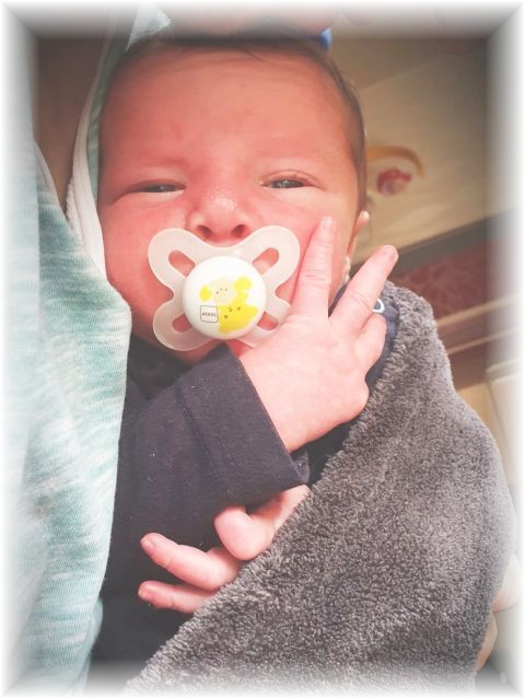 053_2019.jpg - 65250 Bytes