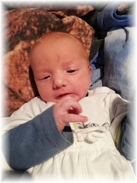 054_2019.jpg - 65250 Bytes