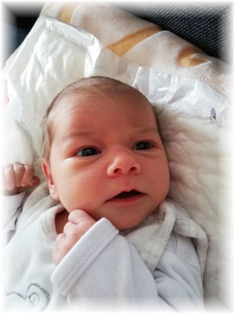 058_2019.jpg - 65250 Bytes