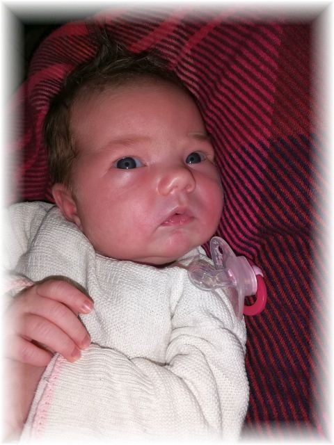 060_2019.jpg - 65250 Bytes