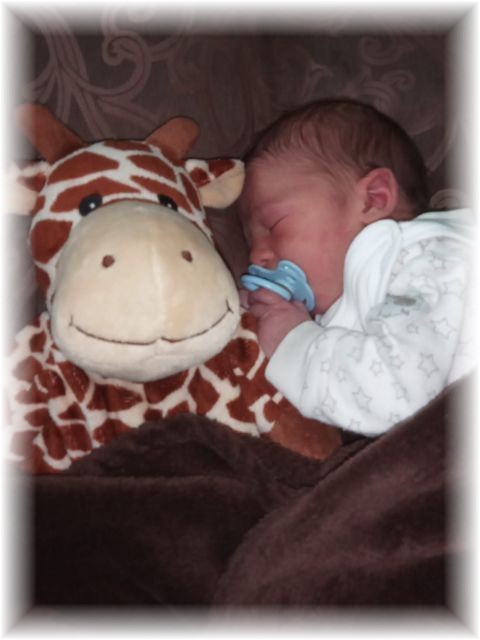 063_2019.jpg - 65250 Bytes