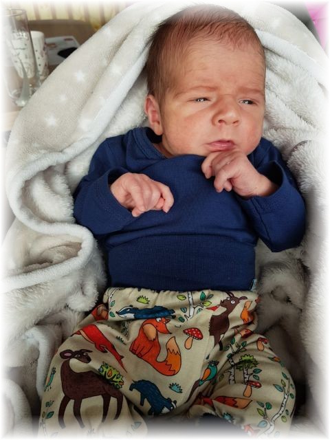 002_2020.jpg - 65250 Bytes