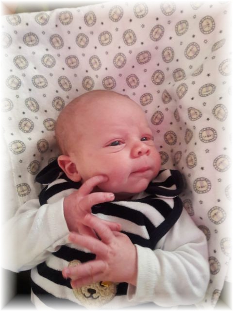 004_2020.jpg - 65250 Bytes